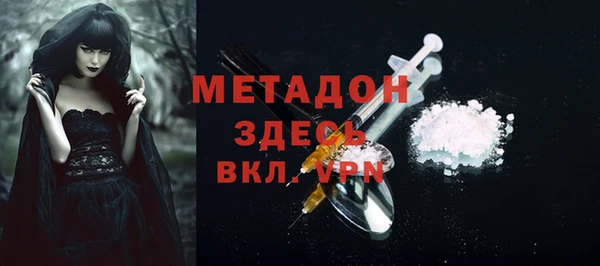 гидра Горняк
