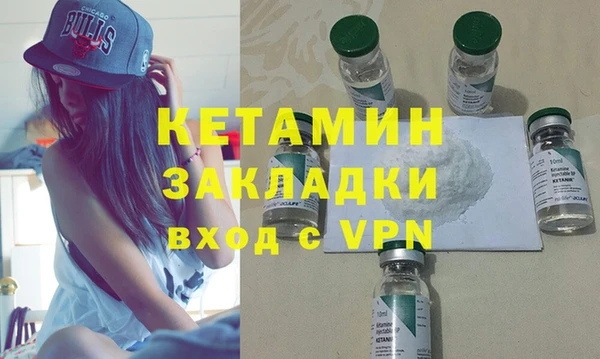 гидра Горняк