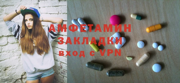 гидра Горняк