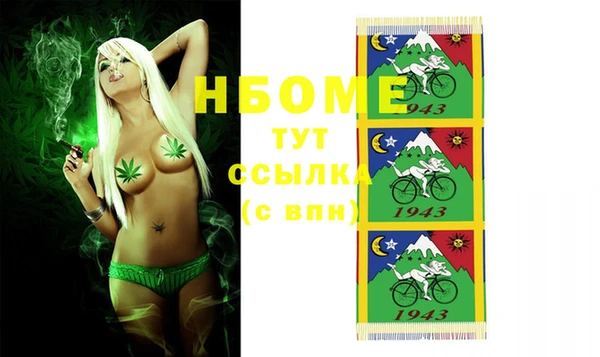 хмурый Сосновый Бор