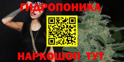 jwh Пыть-Ях