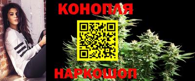 МДПВ Пушкино