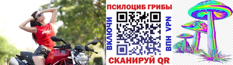 сколько стоит  Ангарск  Галлюциногенные грибы Magic Shrooms 