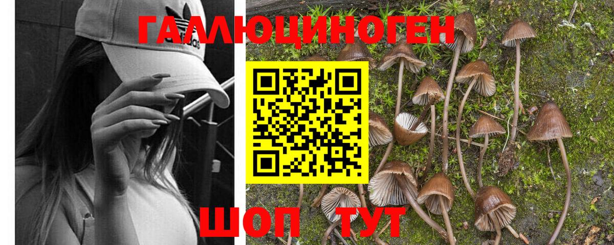 Псилоцибиновые грибы Cubensis  Вход с VPN  Ангарск  Галлюциногенные грибы Magic Shrooms 